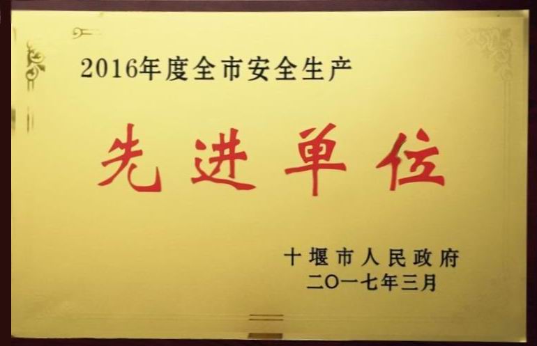 2016年度安全生产先进单位